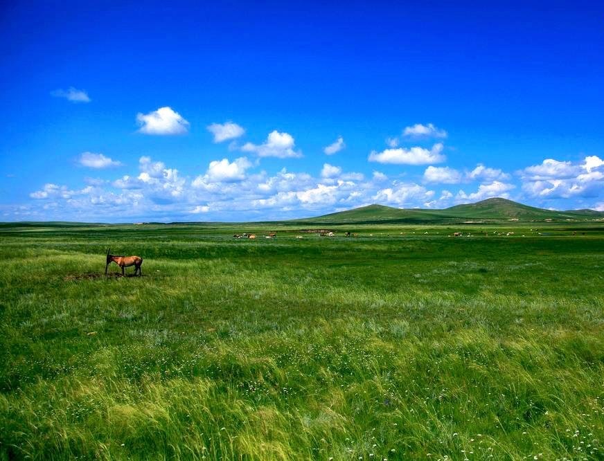 中国十大最美草原排行榜 中国哪里的草原最美