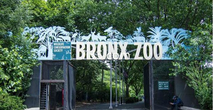 纽约市布朗克斯动物园