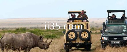 马赛马拉国家保护区肯尼亚