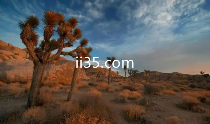 世界十大最美丽沙漠：美国西南部莫哈韦沙漠