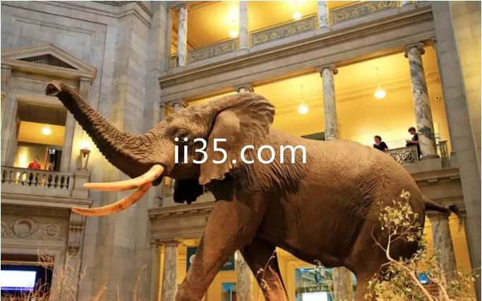 世界十大最知名的博物馆排行榜：美国华盛顿特区国家自然历史博物馆