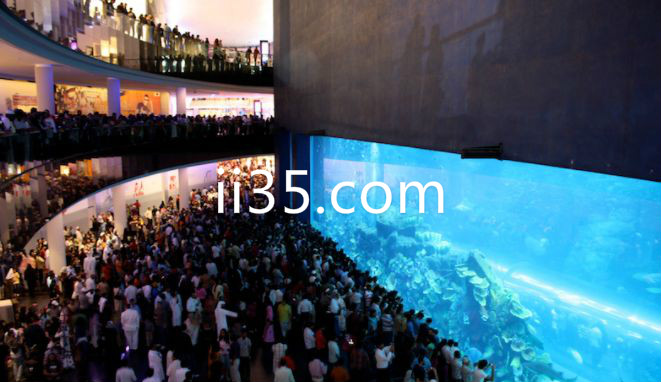迪拜购物中心水族馆(2,640万加仑)