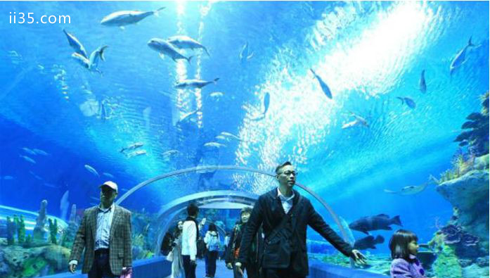世界十大最有趣的娱乐场：日本冲绳-冲绳美丽海水族馆