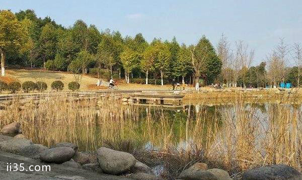 武汉有哪些湿地公园