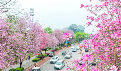 柳州旅游最佳时间 2020柳州赏花的地方