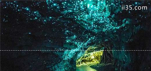 新西兰的萤火虫洞