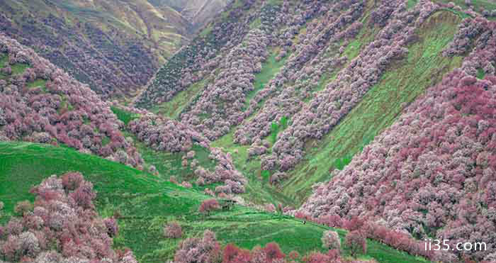 不出国门的美景--新疆-第5张图片