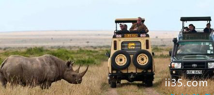马赛马拉国家保护区肯尼亚