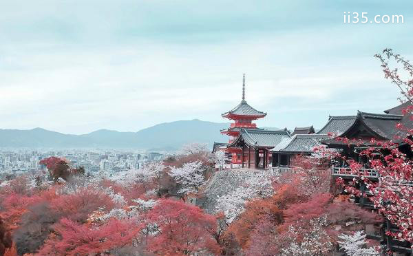 2020年国庆可以去日本旅游了吗 去日本带转换插头吗