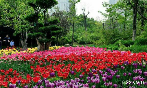 2021年4月16日汉中植物园开园试运营-门票价格