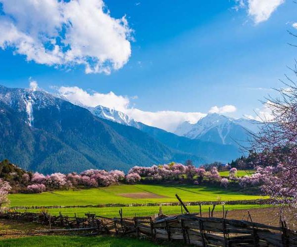 银川出发到西藏旅游（银川出发到西藏旅游攻略）